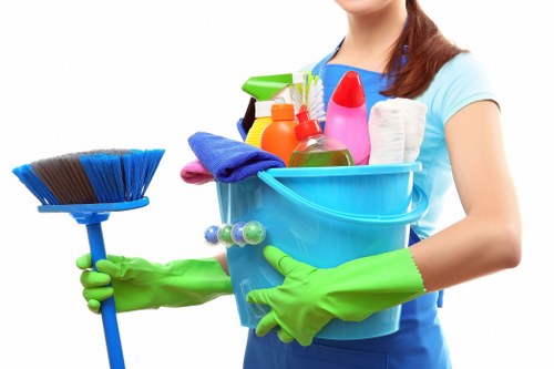 Accessibility support message for Belgravia cleaning services website