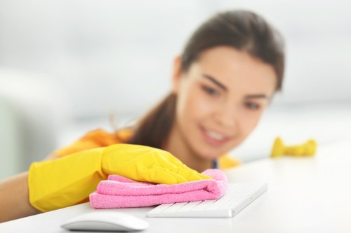 Careful cleaning of a decorative rug in a central London property