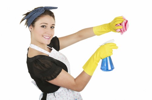 Bathroom cleaning in a Belgravia apartment before move-in