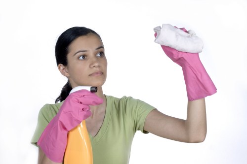 Domestic cleaning tasks in a Belgravia kitchen and living space